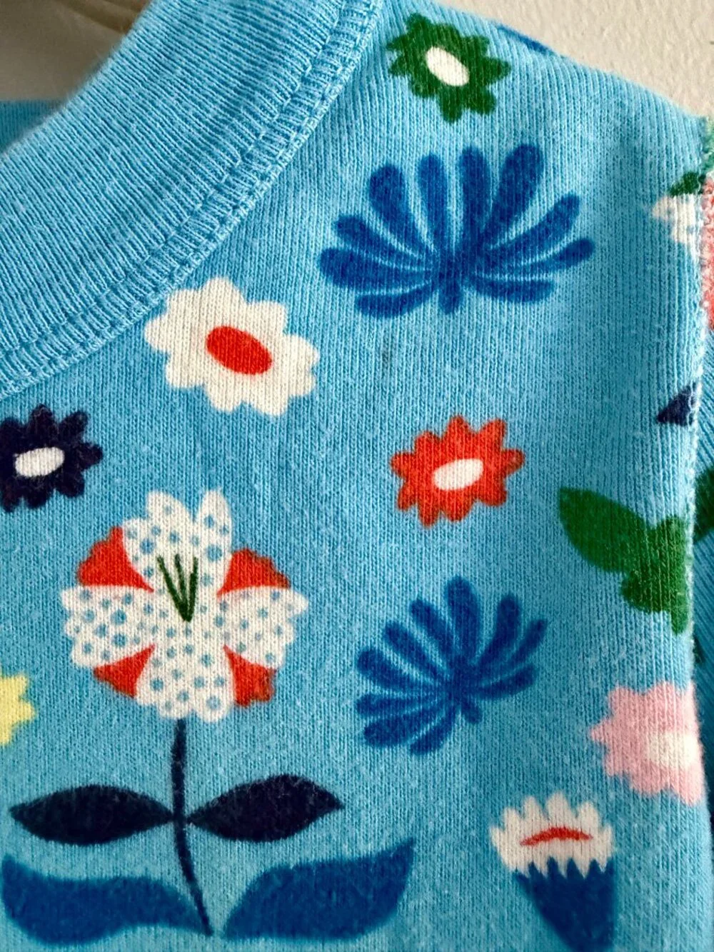 Hanna Andersson Organic Cotton Floral Pajama Set Blue Size 5